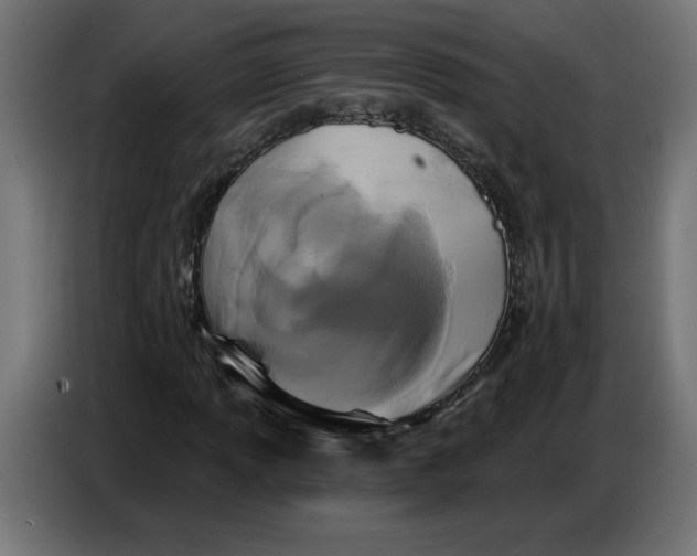 X0000086731013200705041343