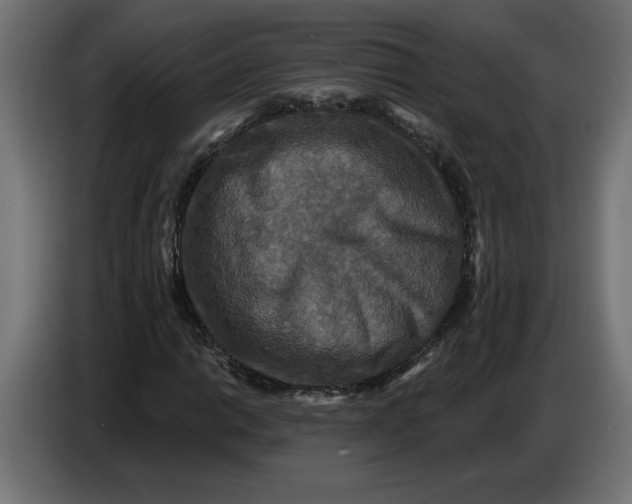 X0000086731014200705041343