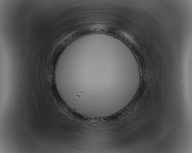 X0000086731015200705041343