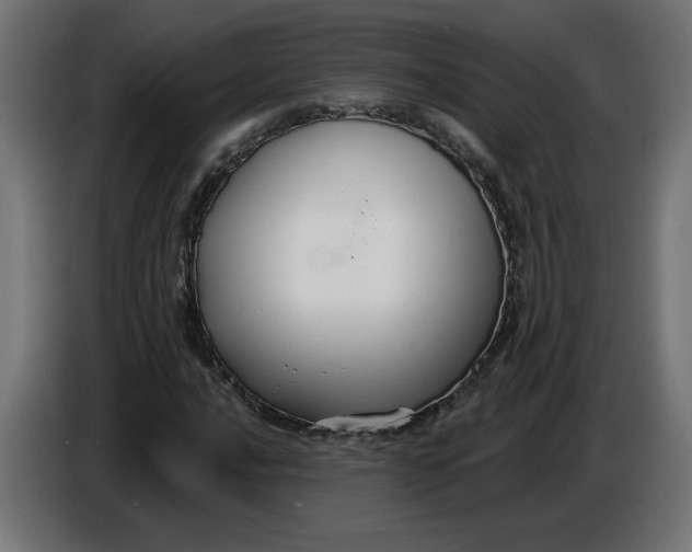 X0000086731016200705041343