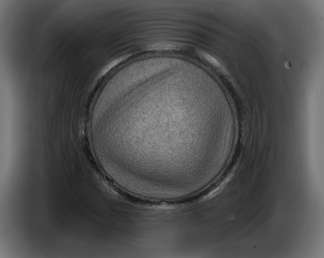 X0000086731017200705041343