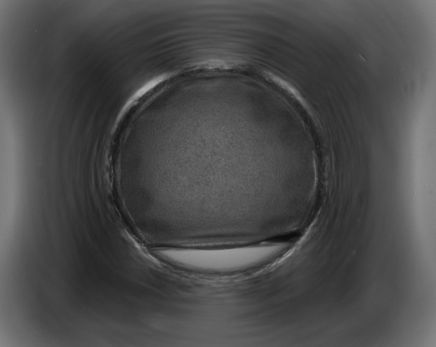 X0000086731018200705041343