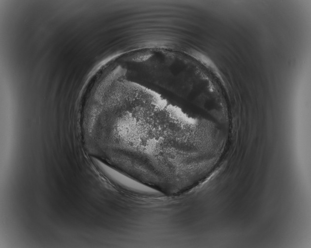 X0000086731019200705041343