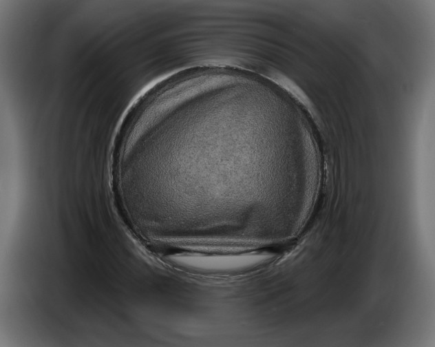 X0000086731020200705041343