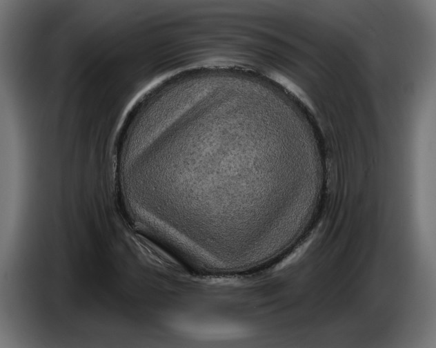 X0000086731021200705041343