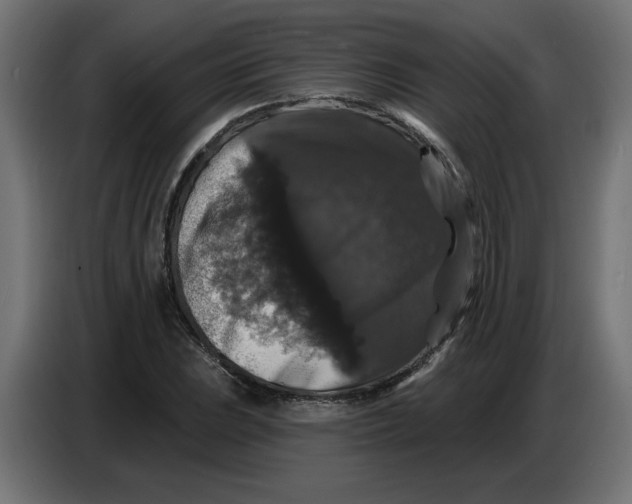 X0000086731023200705041343