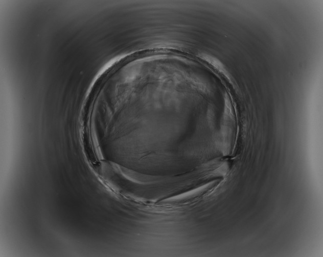 X0000086731024200705041343