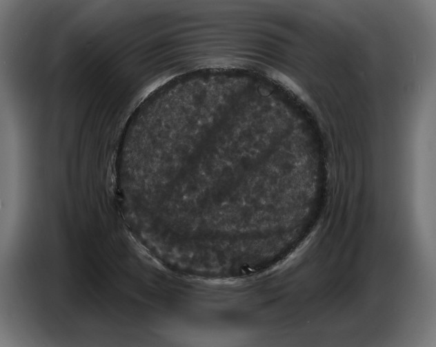 X0000086731025200705041343