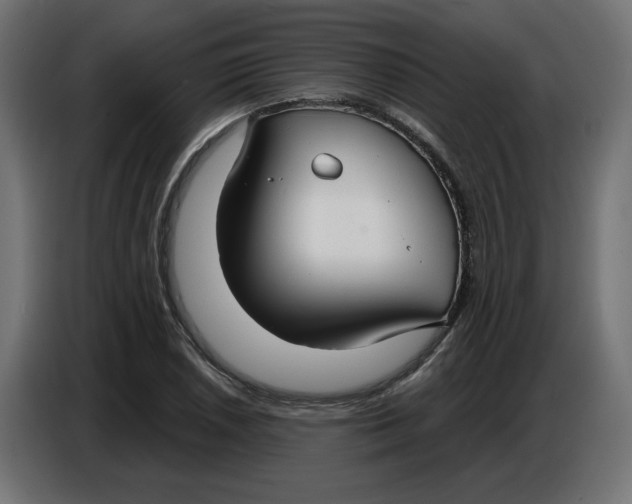 X0000086731026200705041343