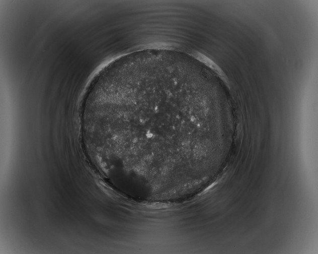 X0000086731027200705041343