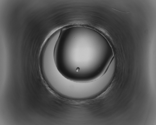 X0000086731030200705041343