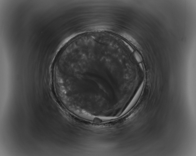 X0000086731031200705041343