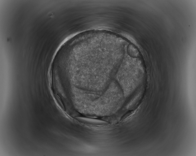 X0000086731032200705041343