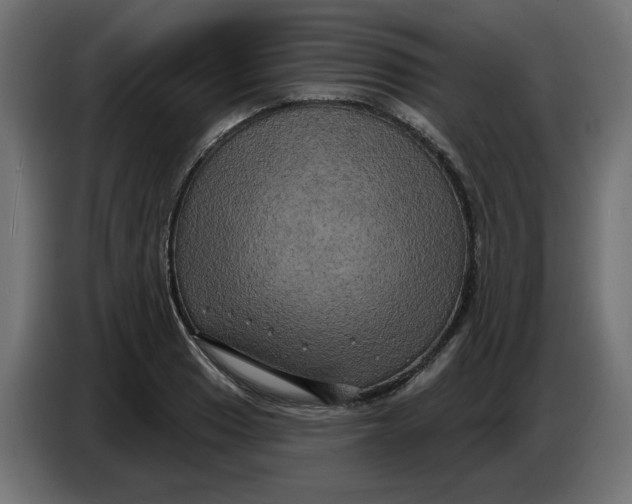 X0000086731033200705041343