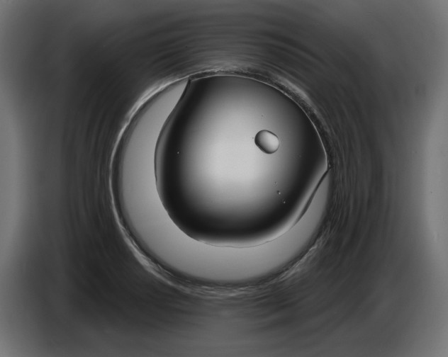 X0000086731034200705041343