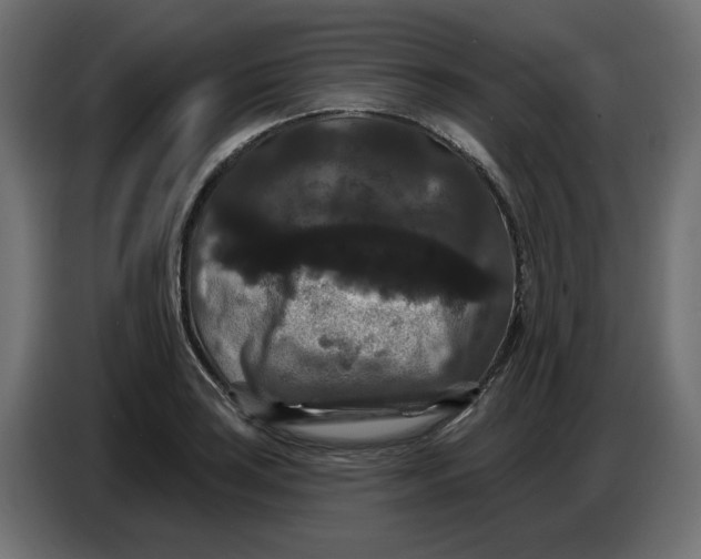 X0000086731035200705041343