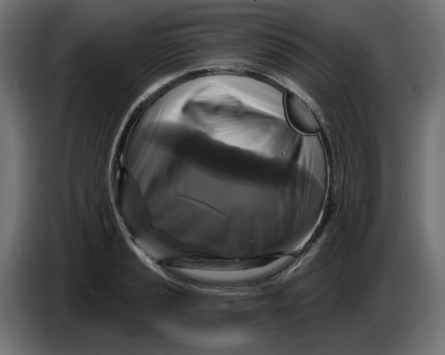 X0000086731037200705041343