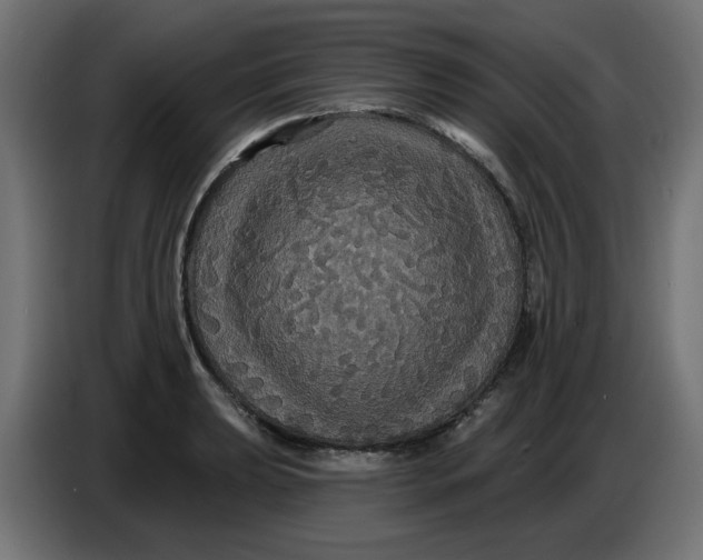 X0000086731039200705041343