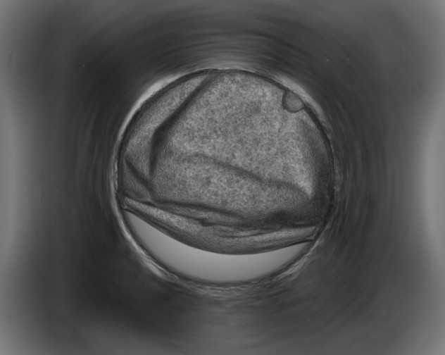 X0000086731040200705041343