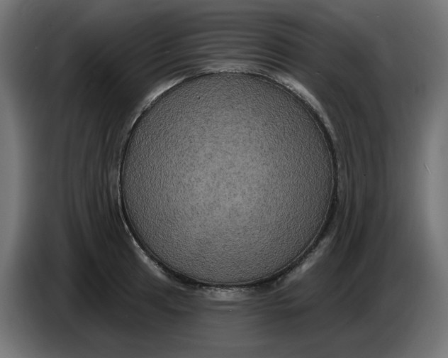 X0000086731041200705041343