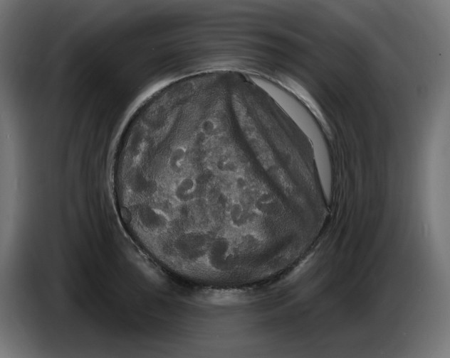 X0000086731043200705041343