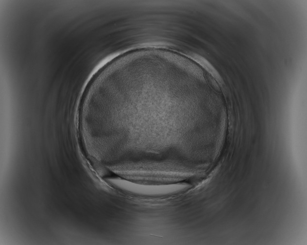 X0000086731044200705041343