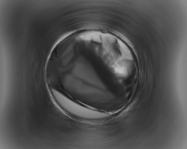 X0000086731045200705041343