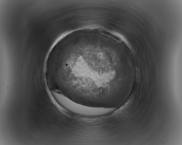 X0000086731046200705041343