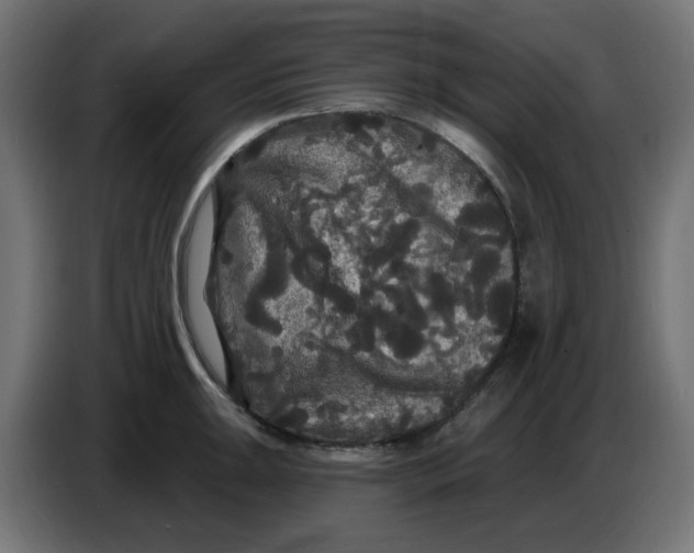 X0000086731047200705041343