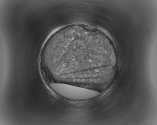 X0000086731048200705041343