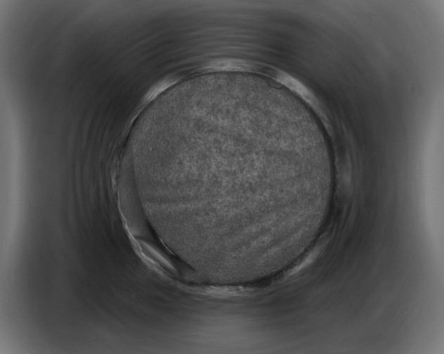 X0000086731049200705041343