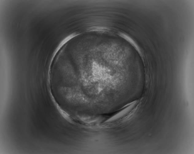 X0000086731050200705041344