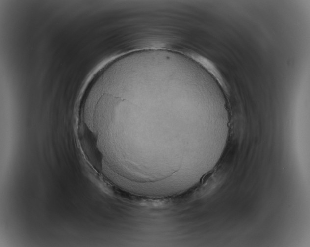 X0000086731051200705041344