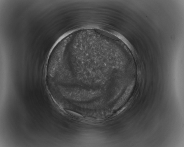 X0000086731052200705041344