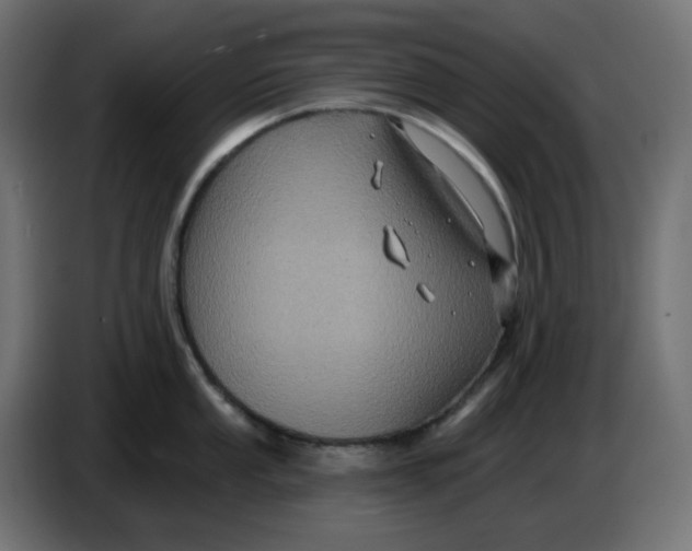 X0000086731053200705041344