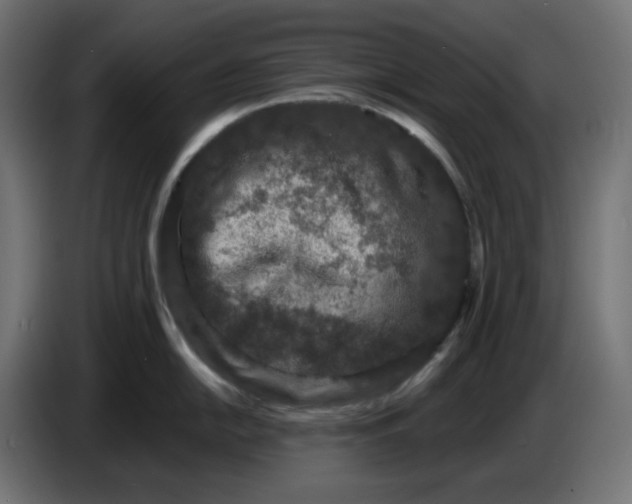 X0000086731054200705041344