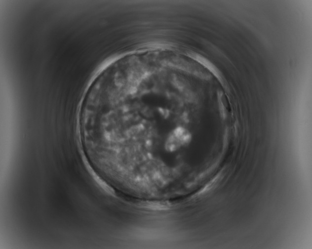 X0000086731055200705041344