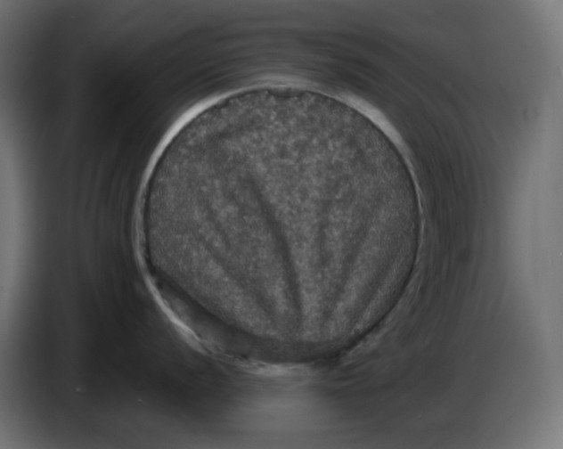 X0000086731056200705041344