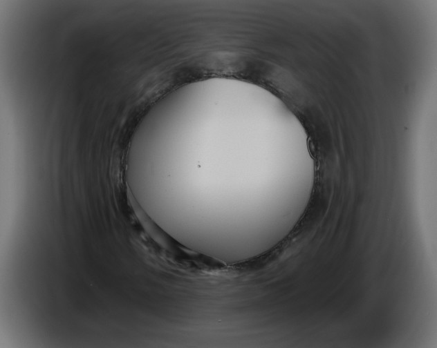 X0000086731058200705041343