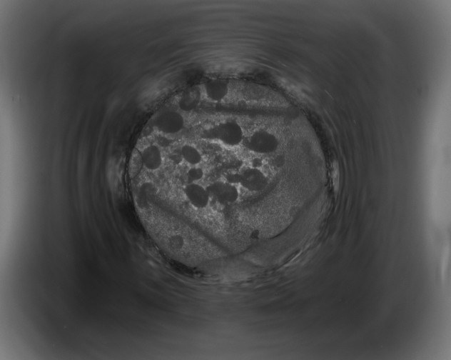 X0000086731059200705041343