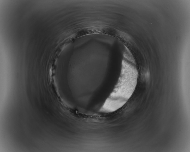 X0000086731060200705041343