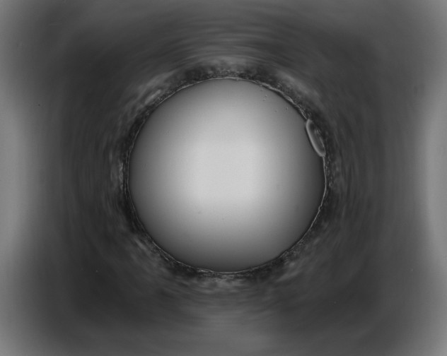 X0000086731061200705041343