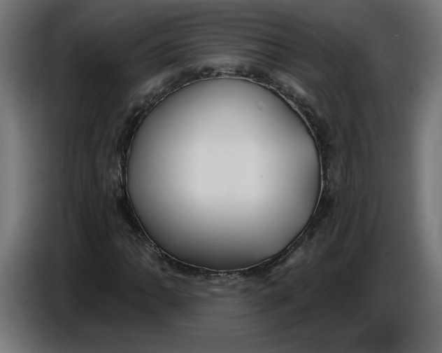 X0000086731062200705041343