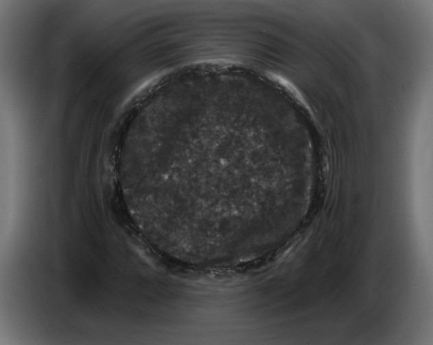 X0000086731064200705041343