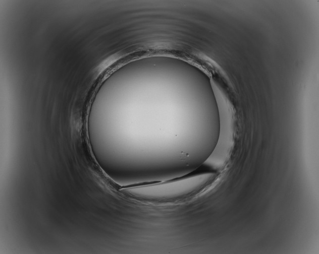 X0000086731065200705041343