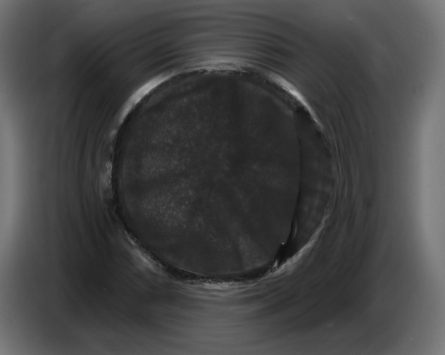 X0000086731066200705041343