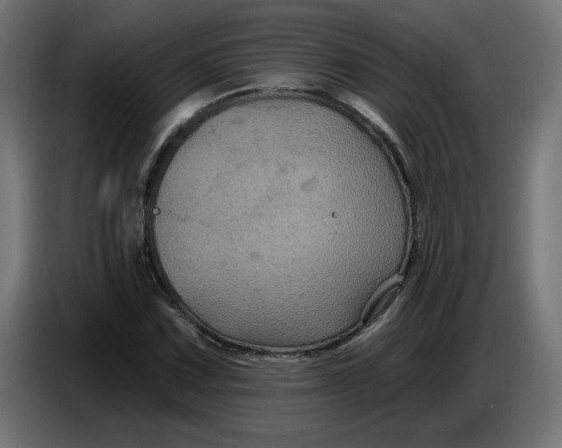 X0000086731067200705041343