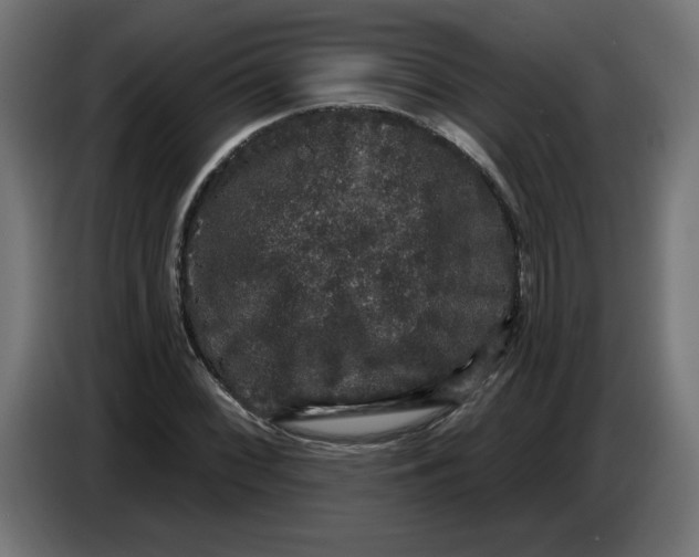 X0000086731068200705041343