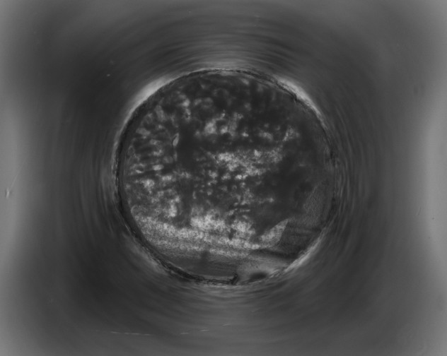 X0000086731071200705041343