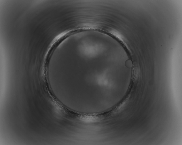 X0000086731074200705041343